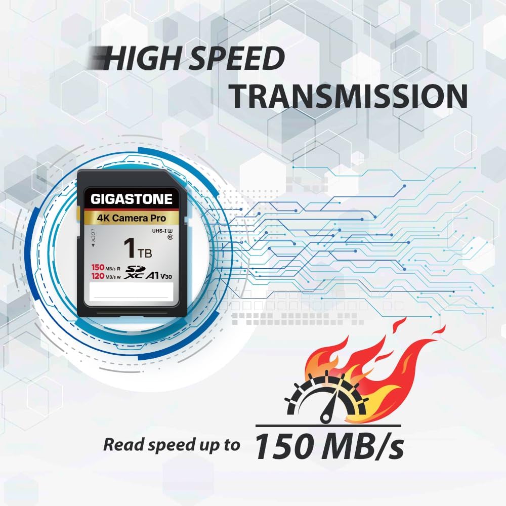 GIGASTONE 1TB SD Card with USB Type C Card Reader