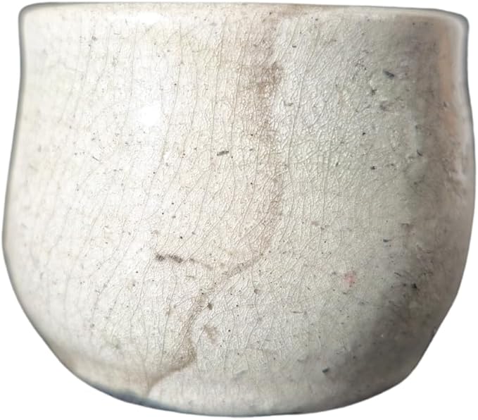 Penguin Pottery Glazes - Raku Series - White Crackle - Low Fire Raku