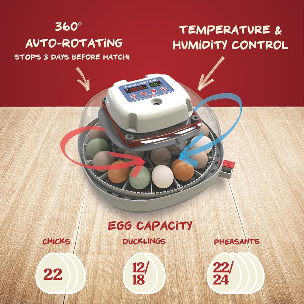 Egg Incubator, Holds 12-22 Eggs