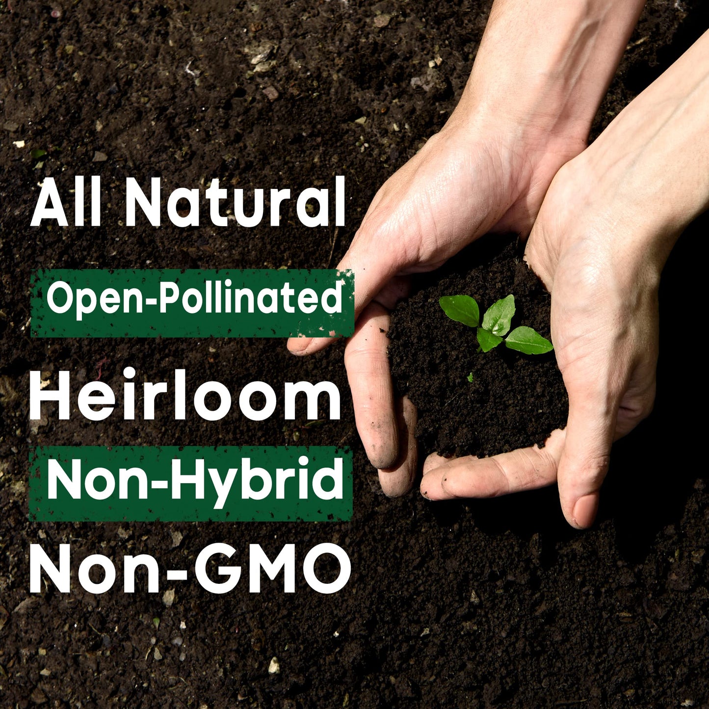 Starter Seed Kit: 15,000+ Seeds, 40 Heirloom Fruit & Vegetable Varieties