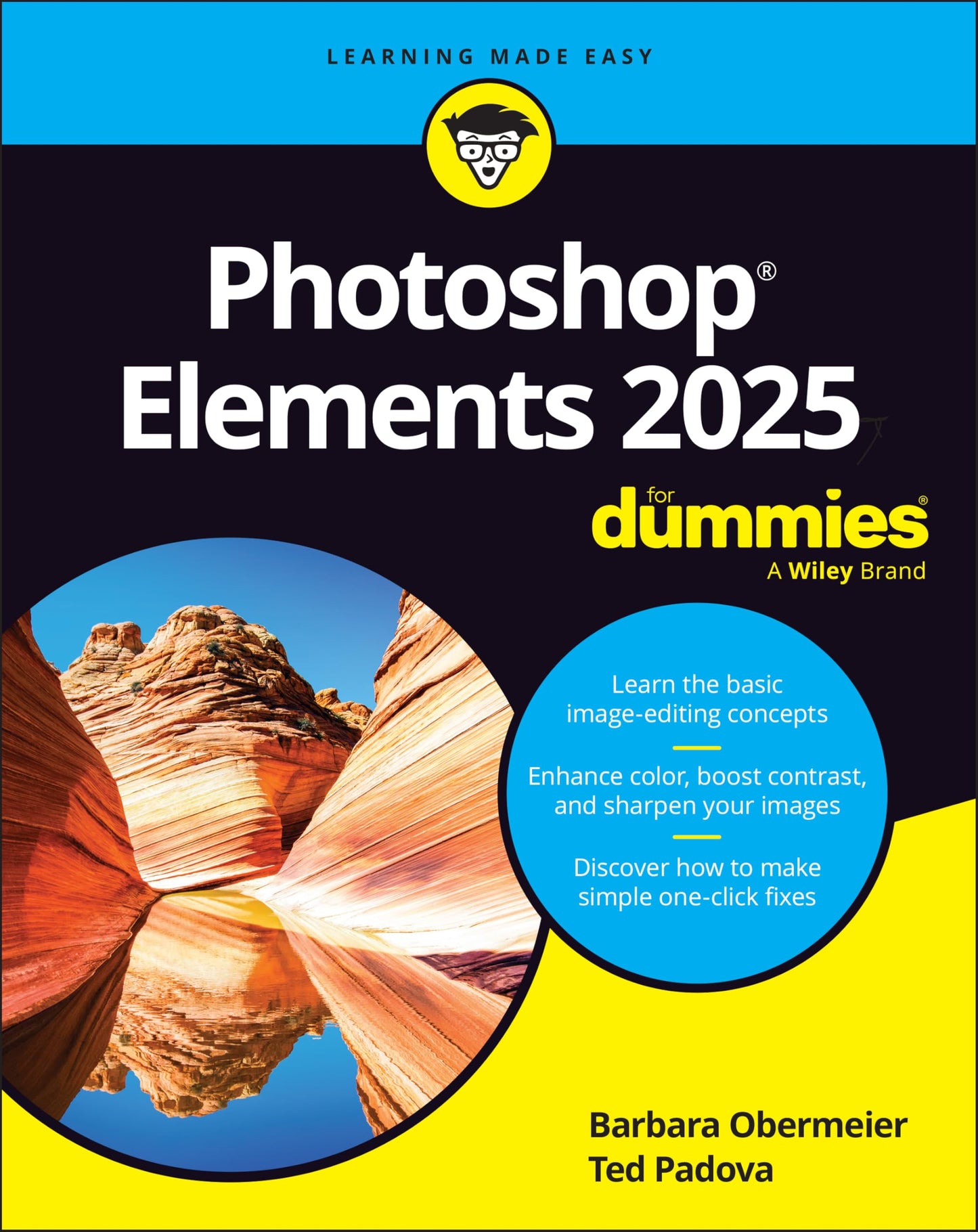 Photoshop Elements 2025 book