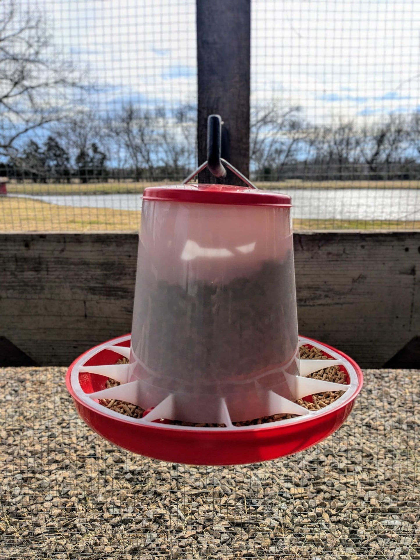 Large Chicken Feeder 11-Pound Capacity for All Poultry | Durable Feeding Container with Carrying Handle