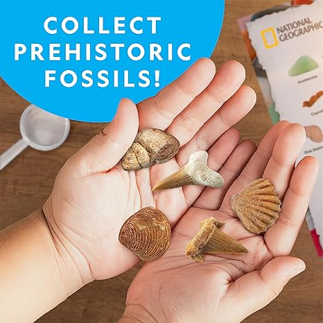 National Geographic Rock Collection Box- Ultimate rock