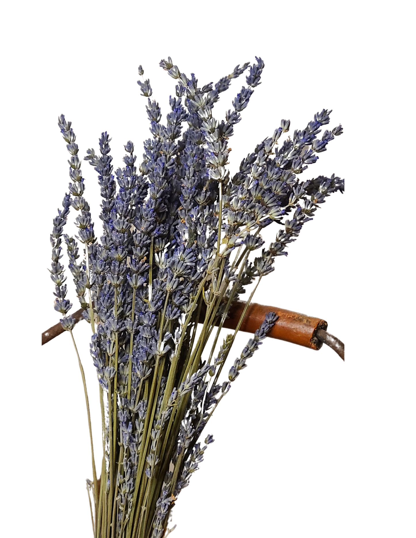 Lavender Grosso Bundle