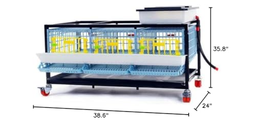Quail Pen-    Size: 3 Section, 1 Layer