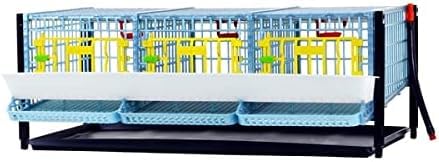 Quail Pen-    Size: 3 Section, Additional 1 Layer
