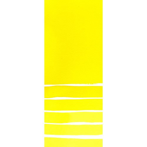 Daniel Smith Extra Fine Watercolor Paint, 5ml Tube, Hansa Yellow Medium, 284610039, 0.17 Fl Oz (Pack of 1)
