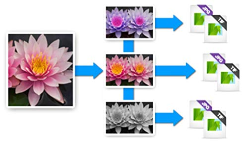 Corel AfterShot Pro 3 | RAW Photo Editing Software [PC/Mac Key Card]