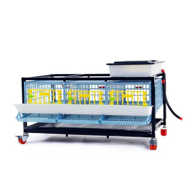 Quail Pen-    Size: 3 Section, 1 Layer