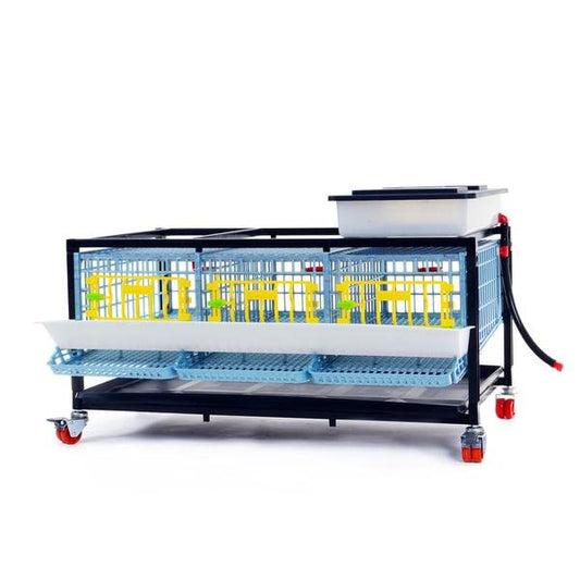 Quail Pen-    Size: 3 Section, 1 Layer