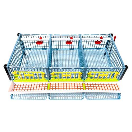 Quail Pen-    Size: 3 Section, Additional 1 Layer