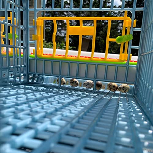 Quail Pen-   Size: 3 Section, 2 Layer
