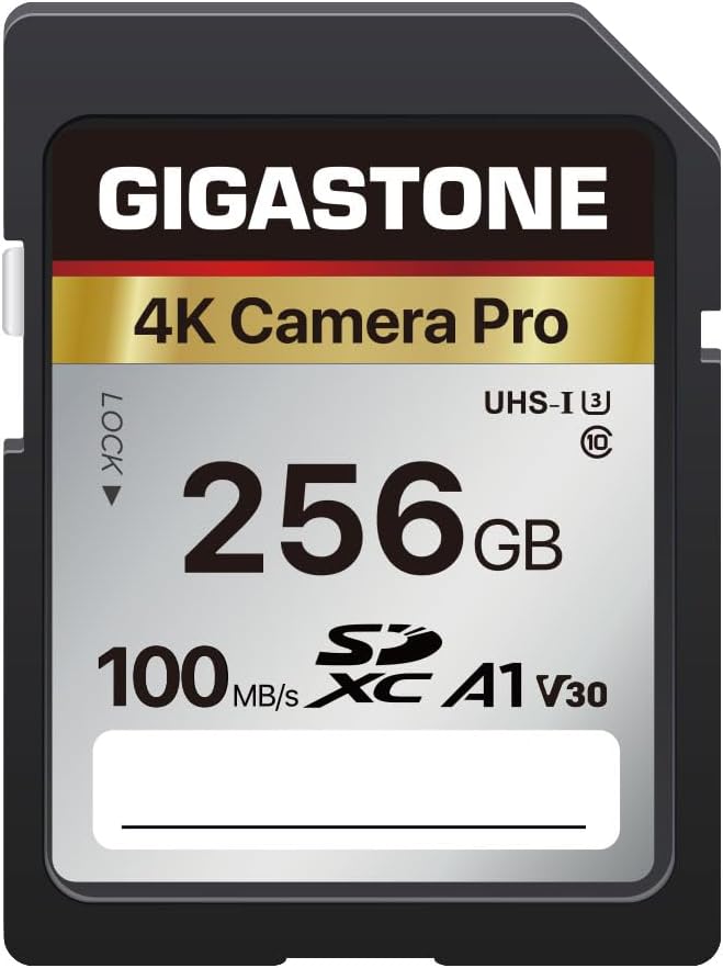 GIGASTONE 256GB Memory Card 4K- SDXC