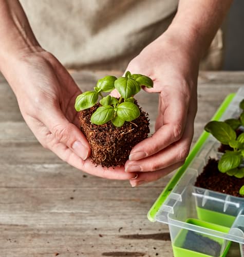 SuperSeed Seed Starting Tray