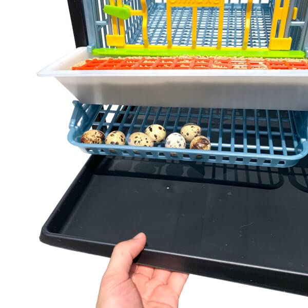 Quail Pen-    Size: 3 Section, 1 Layer