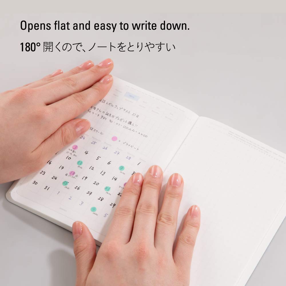 Nitoms S4125 STALOGY Notebook, 1/2 Ear, B6, Squared, Blue