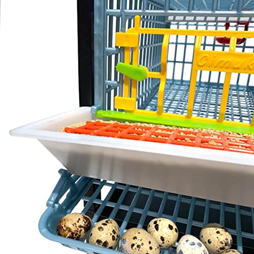 Quail Pen-    Size: 3 Section, 1 Layer