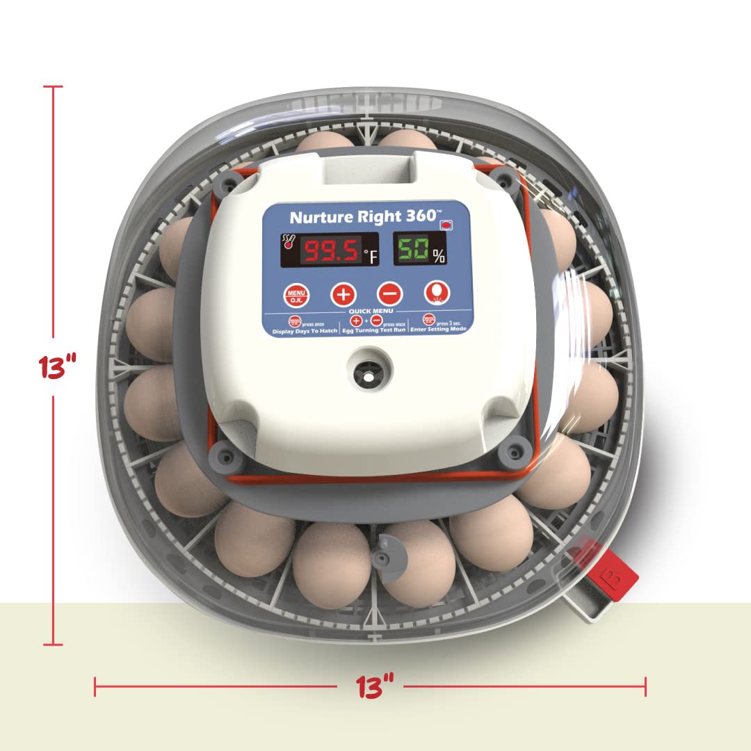 Egg Incubator, Holds 12-22 Eggs