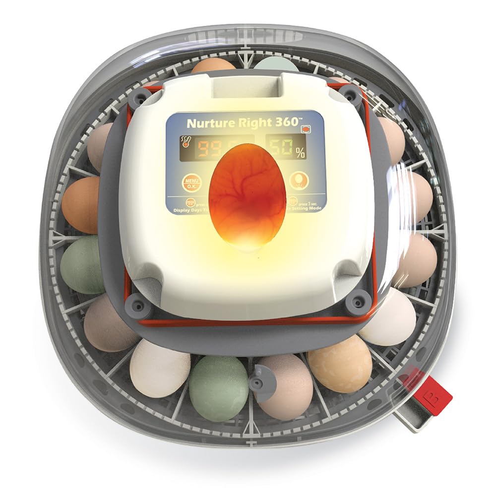 Egg Incubator, Holds 12-22 Eggs