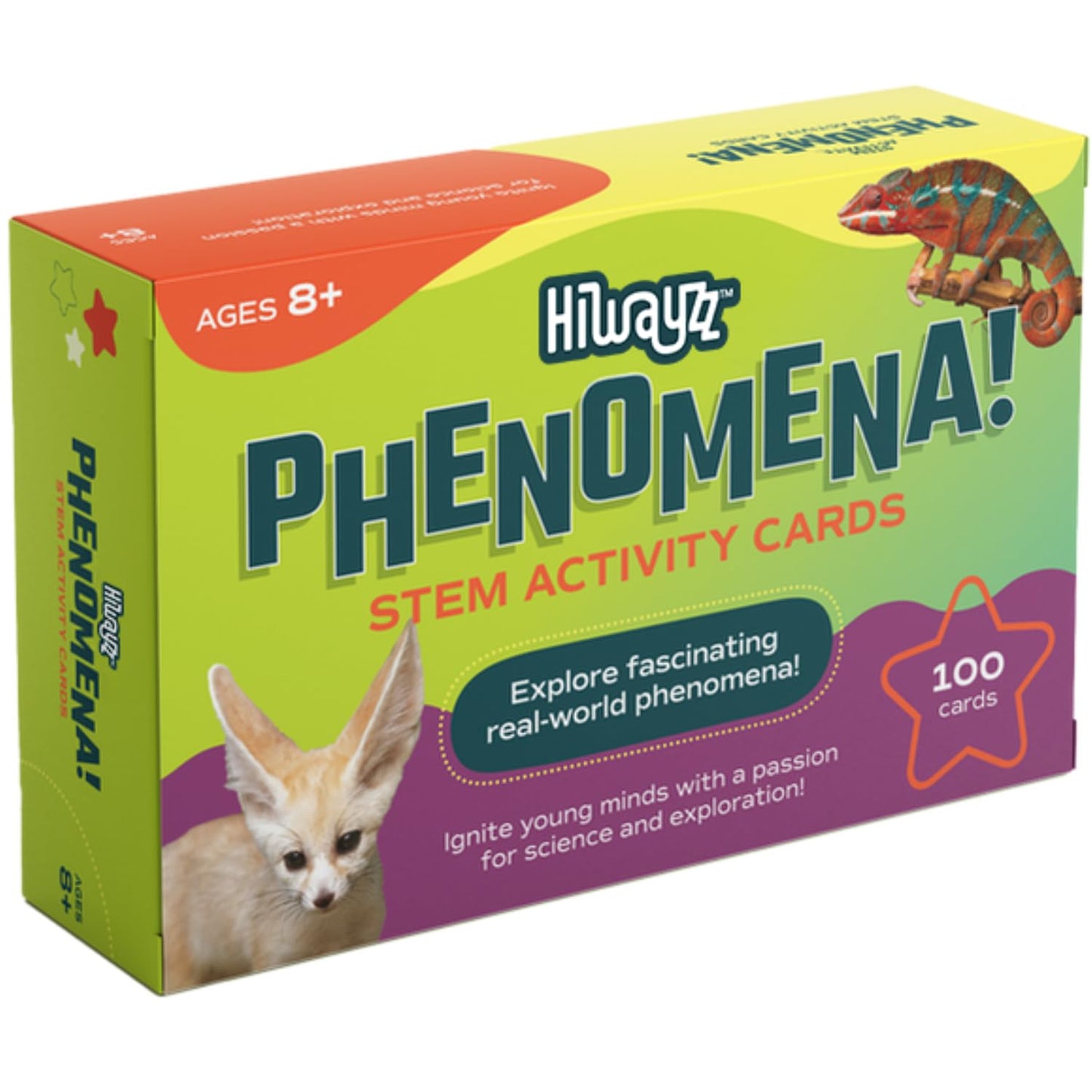 Hiwayzz STEM Activity Cards