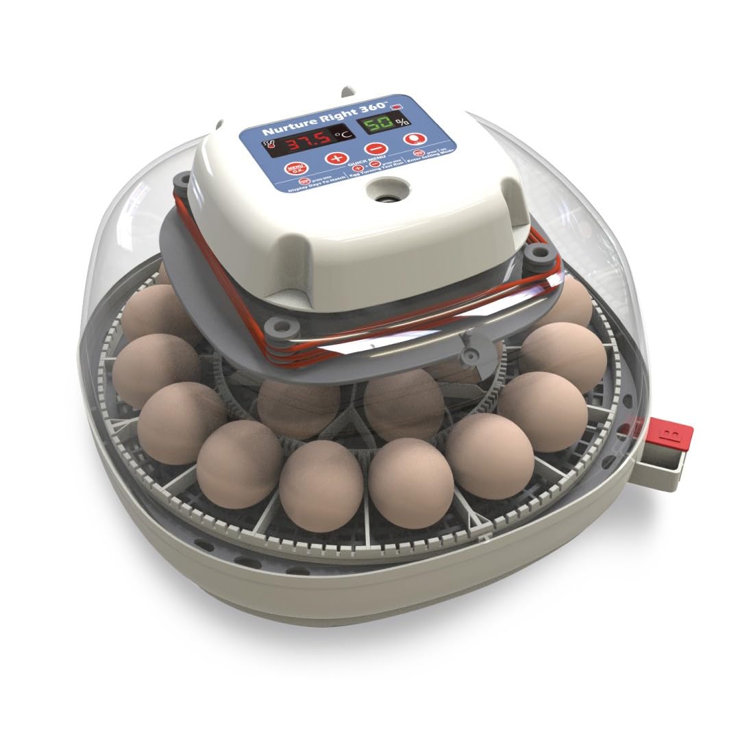 Egg Incubator, Holds 12-22 Eggs