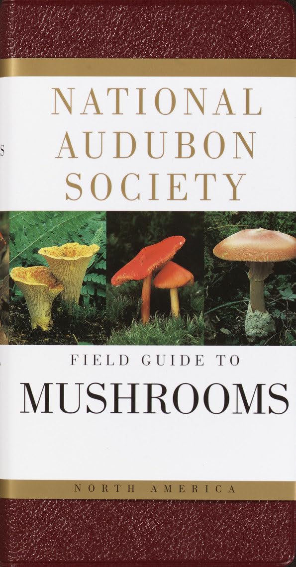 USED- National Audubon Society Field Guide to North American Mushrooms (National Audubon Society Field Guides)
