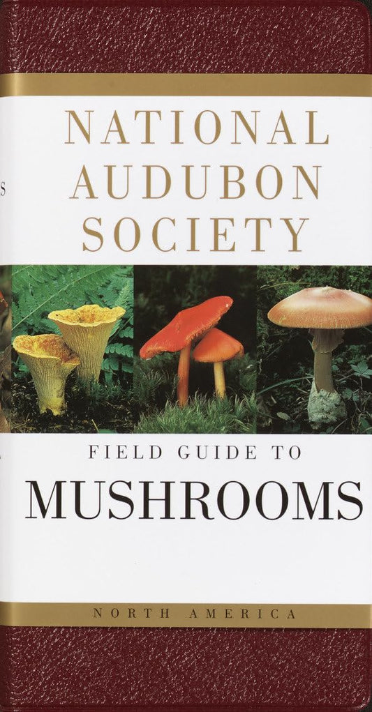 USED- National Audubon Society Field Guide to North American Mushrooms (National Audubon Society Field Guides)