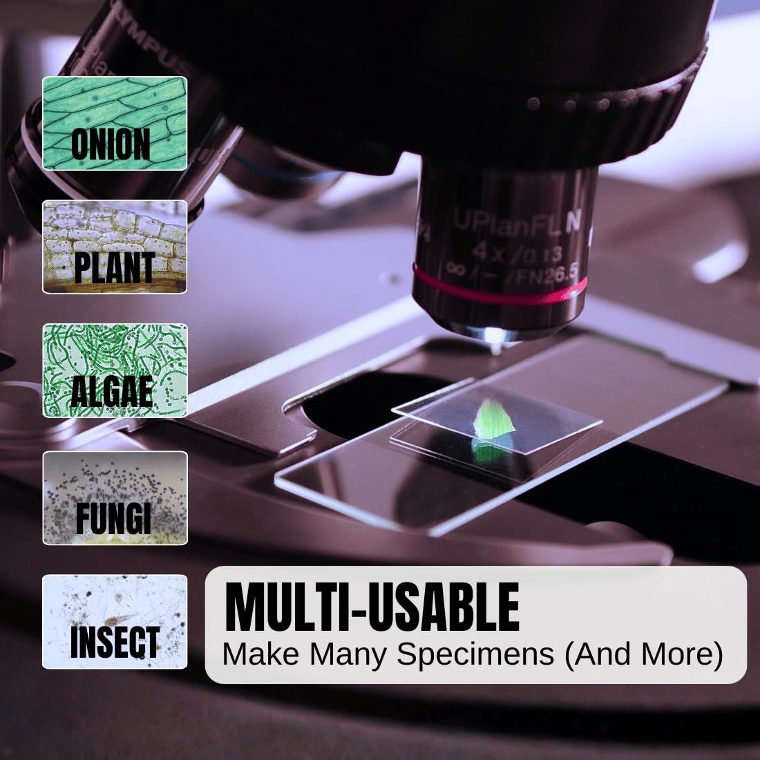 ZEEGOO Microscope Slides and Covers, 100 Glass Slides + 200 Coverslips