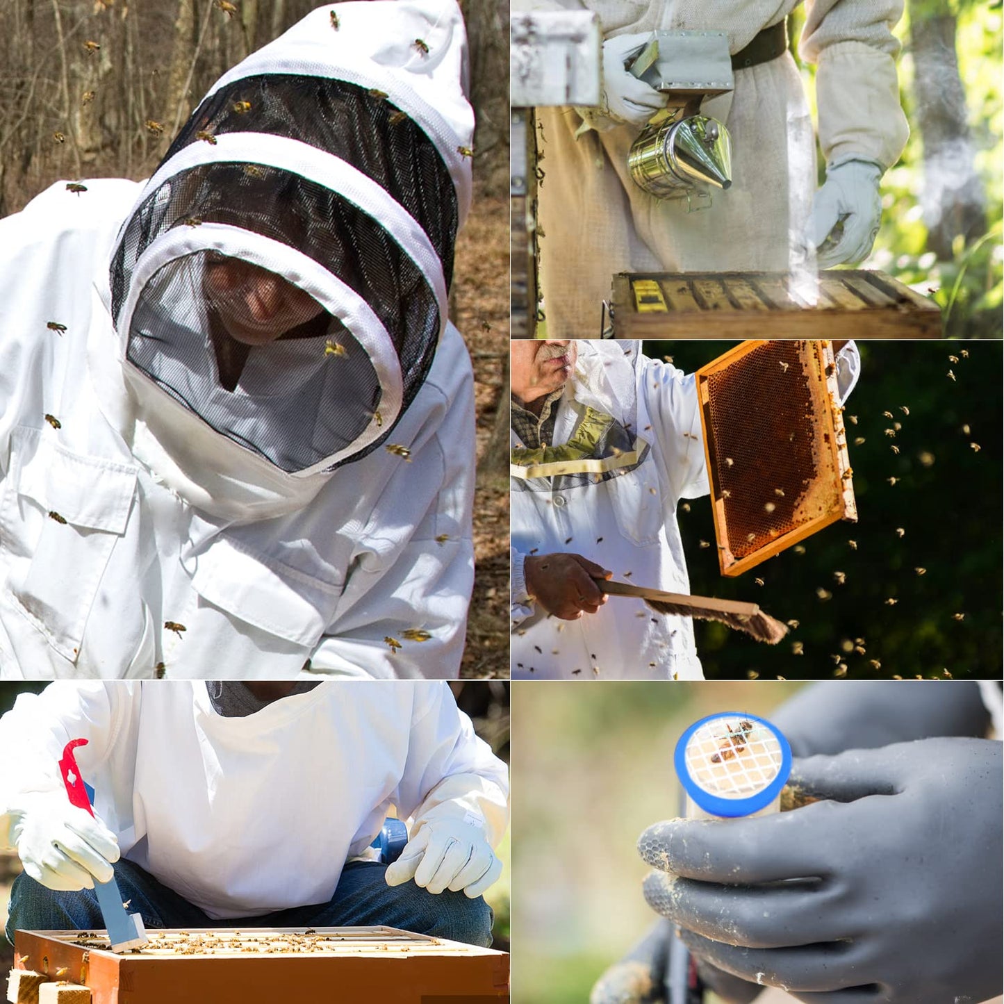 Blisstime Beekeeping Supplies, 30 PCS Bee Keeping Starter Kit