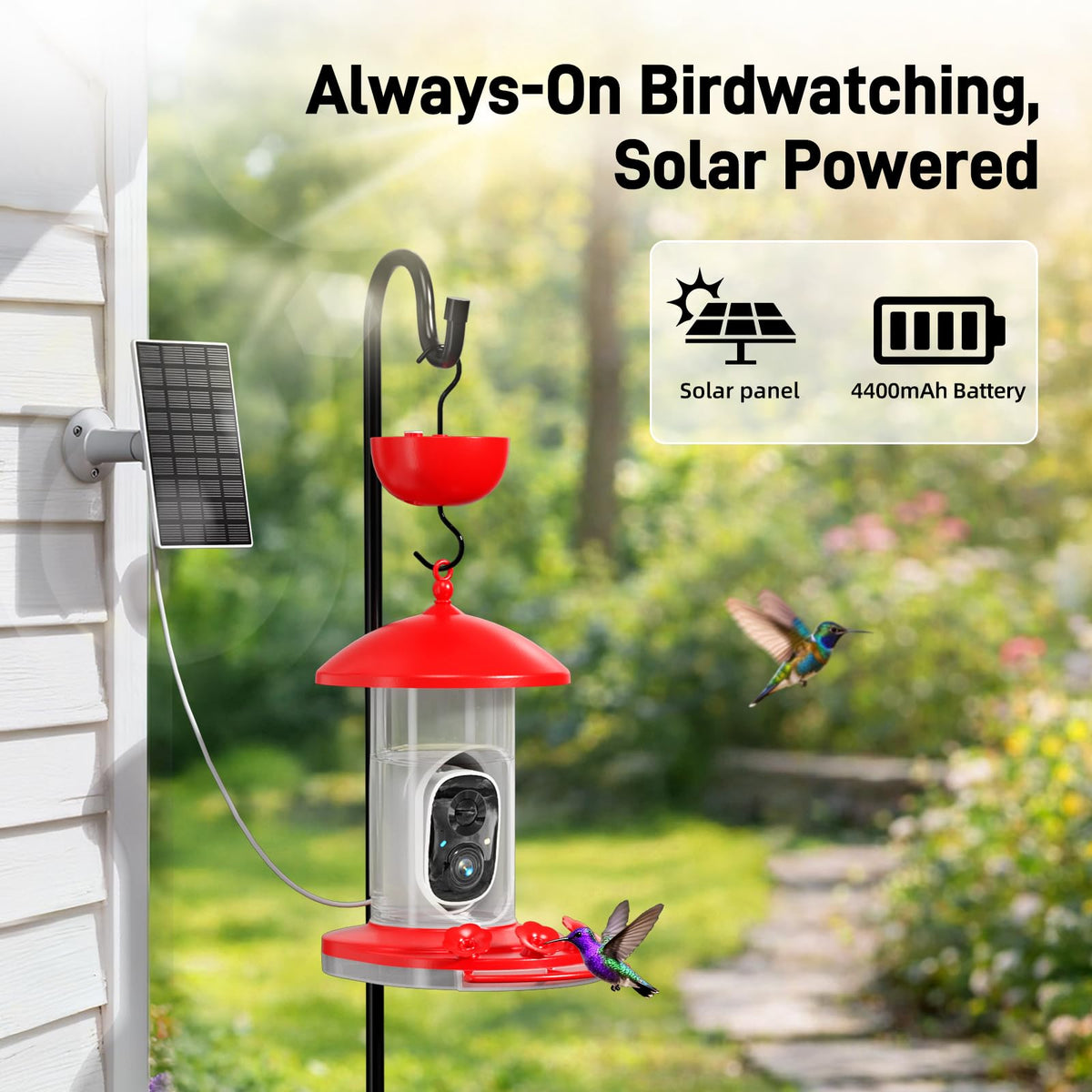 Hummingbird Feeder with Camera Outdoor, 5MP Solar Powered Smart Bird Feeder