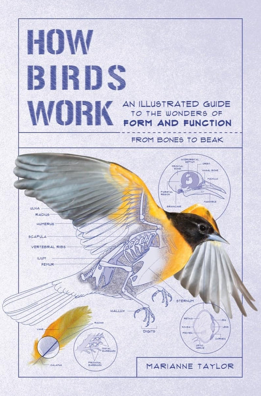 How Birds Work: An Illustrated Guide to the Wonders of Form and Function―from Bones to Beak (How Nature Works)