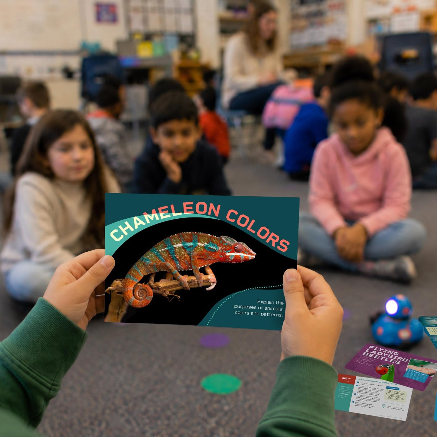 Hiwayzz STEM Activity Cards