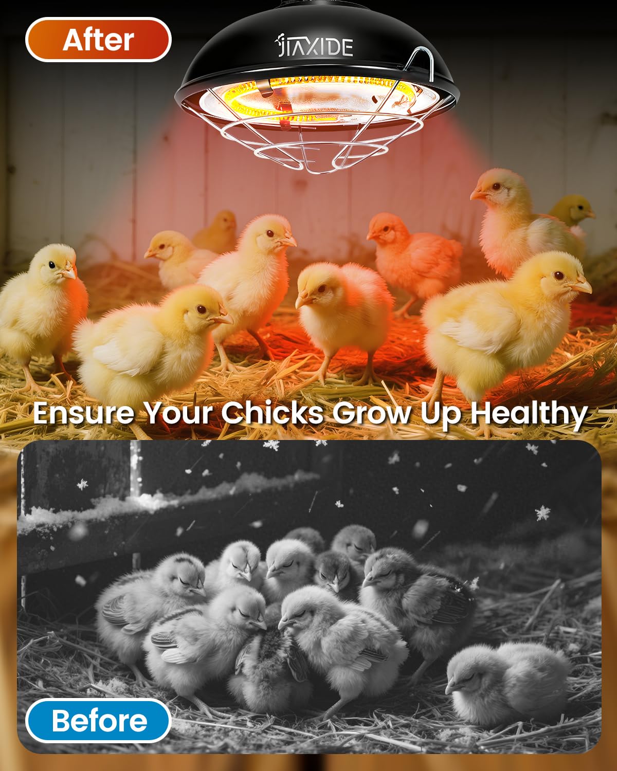 350W Dual-Mode Heat Lamp for Chicks, Poultry & Ducklings