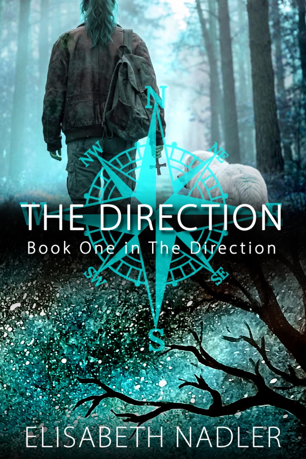 The Direction: Book One in The Direction - paperback