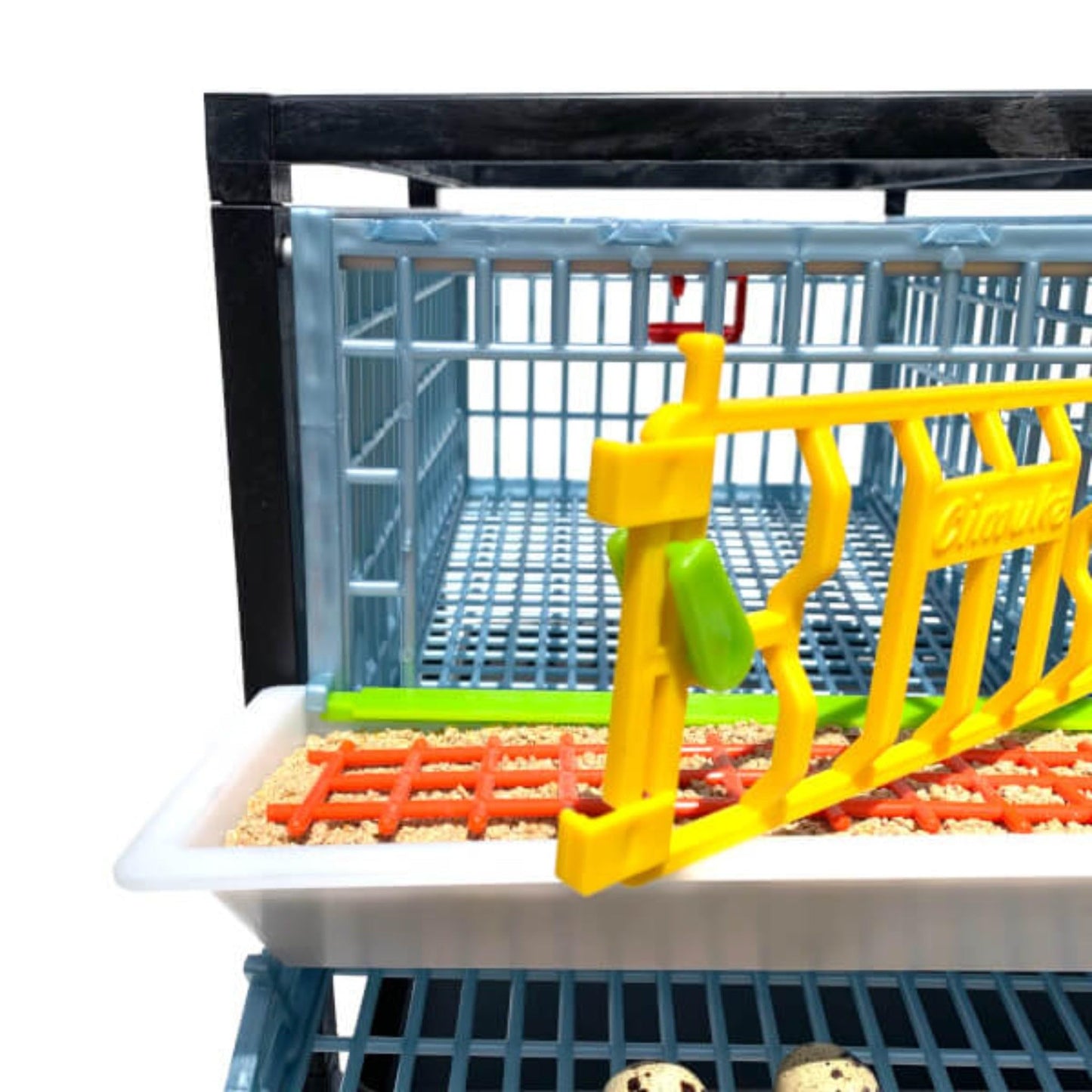 Quail Pen-   Size: 3 Section, Additional 2 Layer