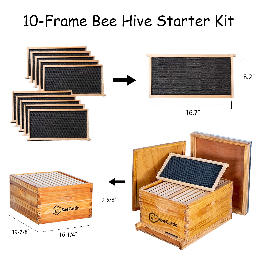 10-Frame Bee Hives and Supplies Starter Kit,Beehive Kit Dipped in 100% Beeswax,Bee Keeping Supplies-All Beginners Kit Includes Beekeeping Supplies Tool Set and Bee Suit.