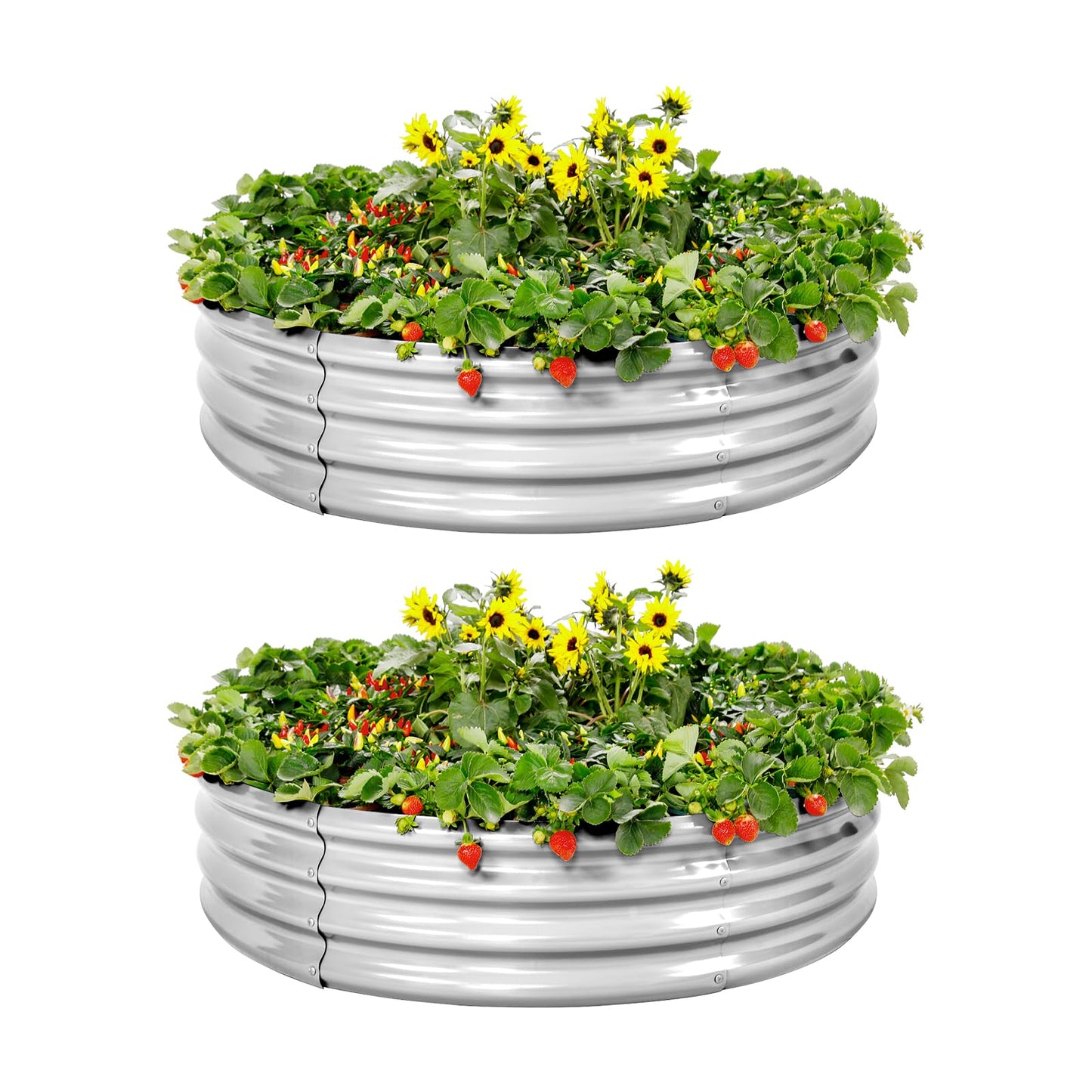 2 Pack 2×2×1ft Galvanized Raised Garden Bed