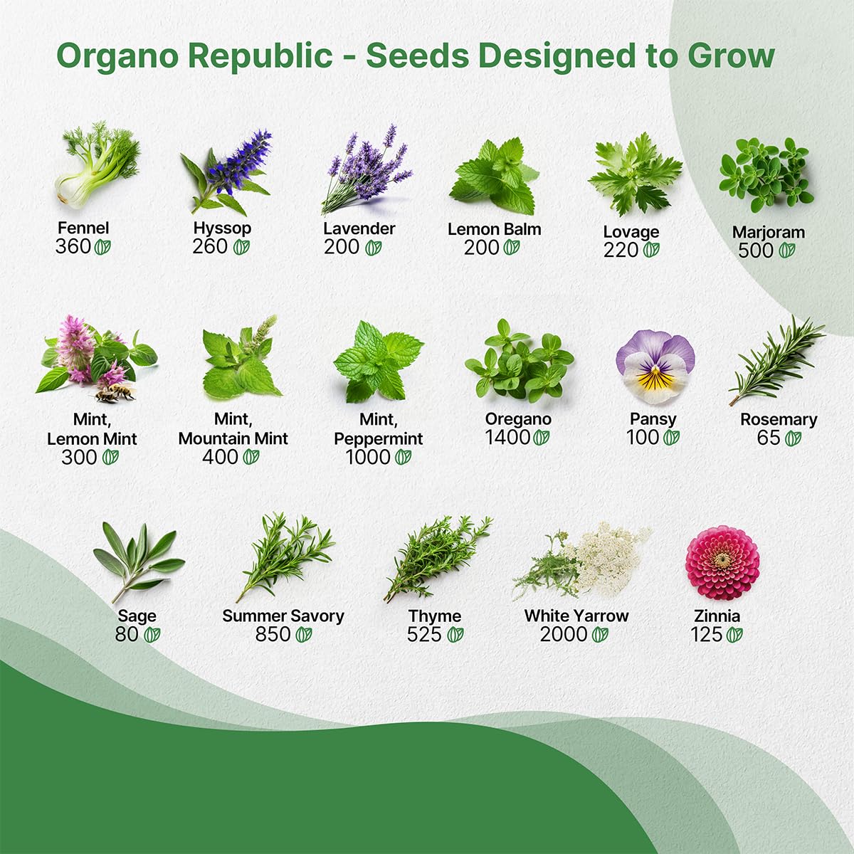 35 Herb Seeds Variety Pack for Indoor & Outdoors, Non-GMO Heirloom Garden Seeds