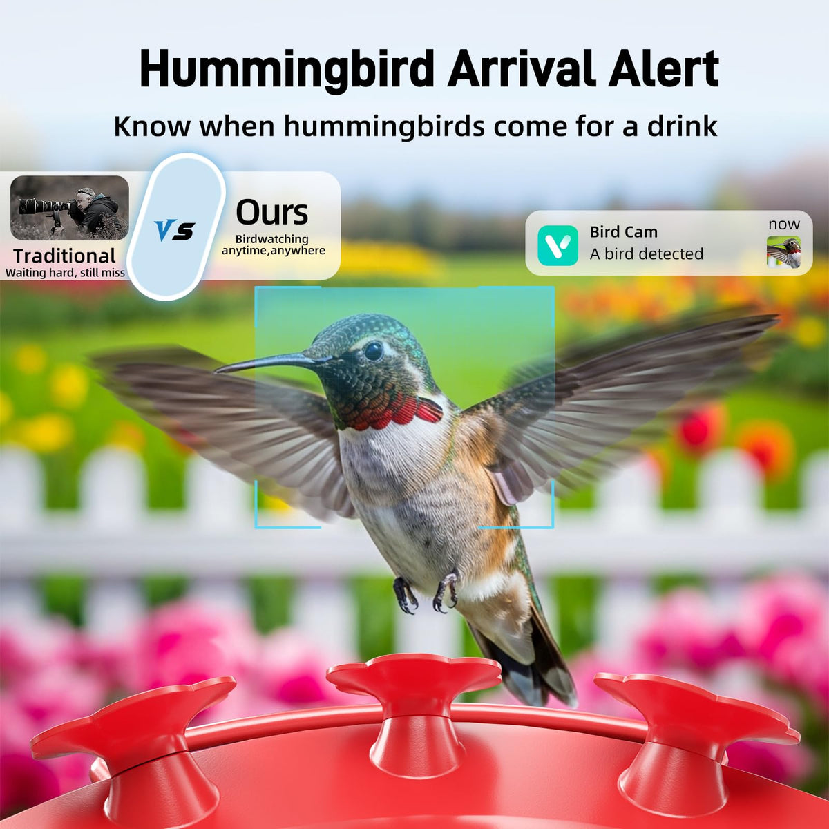 Hummingbird Feeder with Camera Outdoor, 5MP Solar Powered Smart Bird Feeder