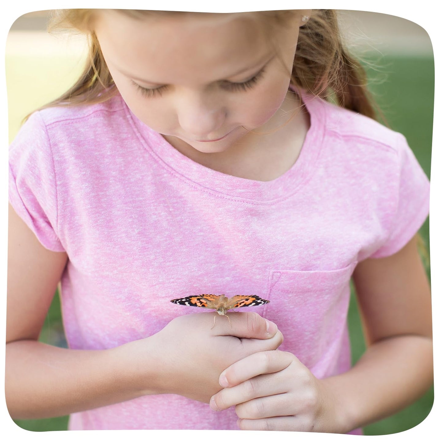 Butterfly Garden with 10 Live Baby Caterpillars - Habitat, Feeder, Chrys-A-Lid Holders, STEM