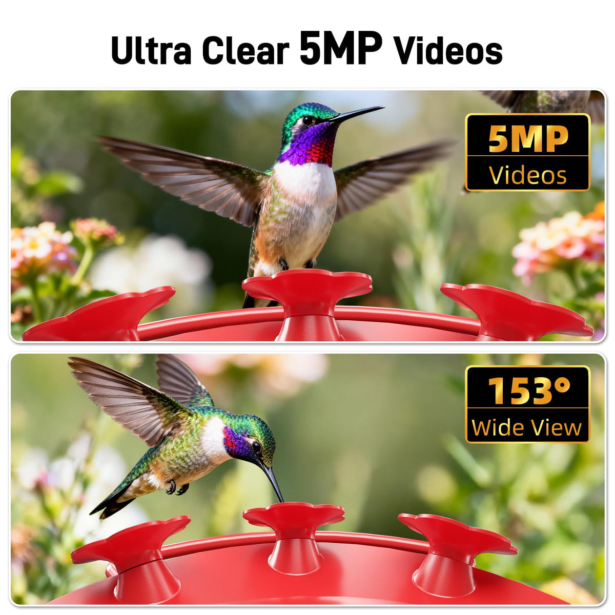 Hummingbird Feeder with Camera Outdoor, 5MP Solar Powered Smart Bird Feeder