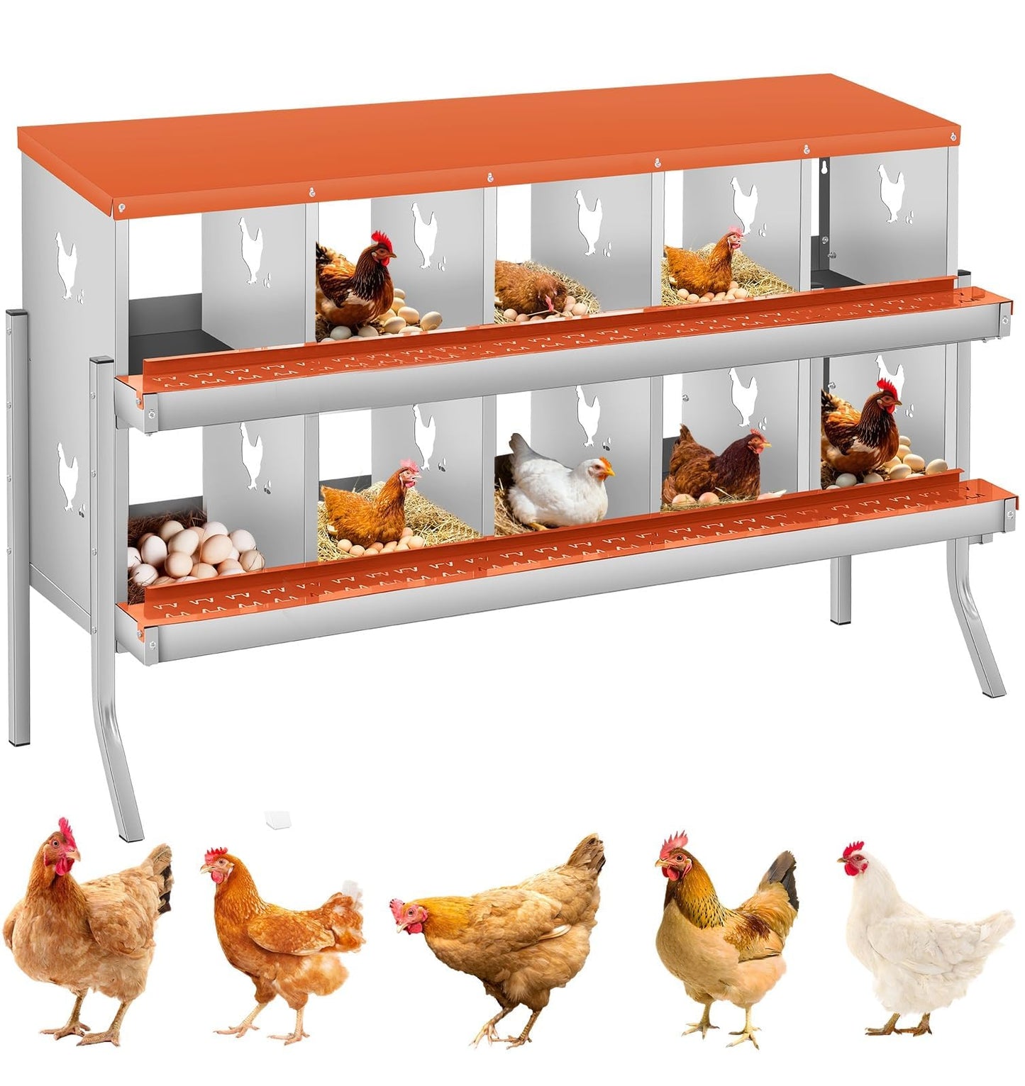 Garvee Chicken Nesting Box, 10 Compartments Nesting Box for Chickens