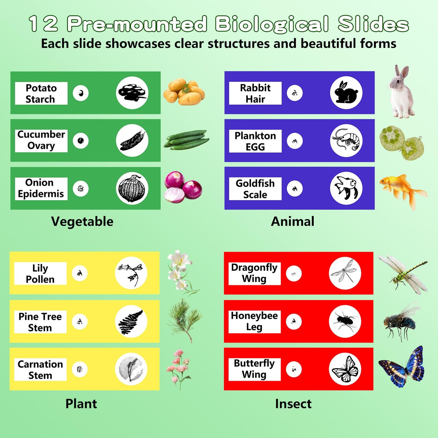 Odatay Microscope for Kids with 12 Slides, 100X-1000X 1080P Digital Handheld Kids Microscope, Mini Portable Pocket Miniscope Science Toys Gifts for 3+ 4 5 6 7 8 9 10 11 12 Year Old Boys Girls, Pink