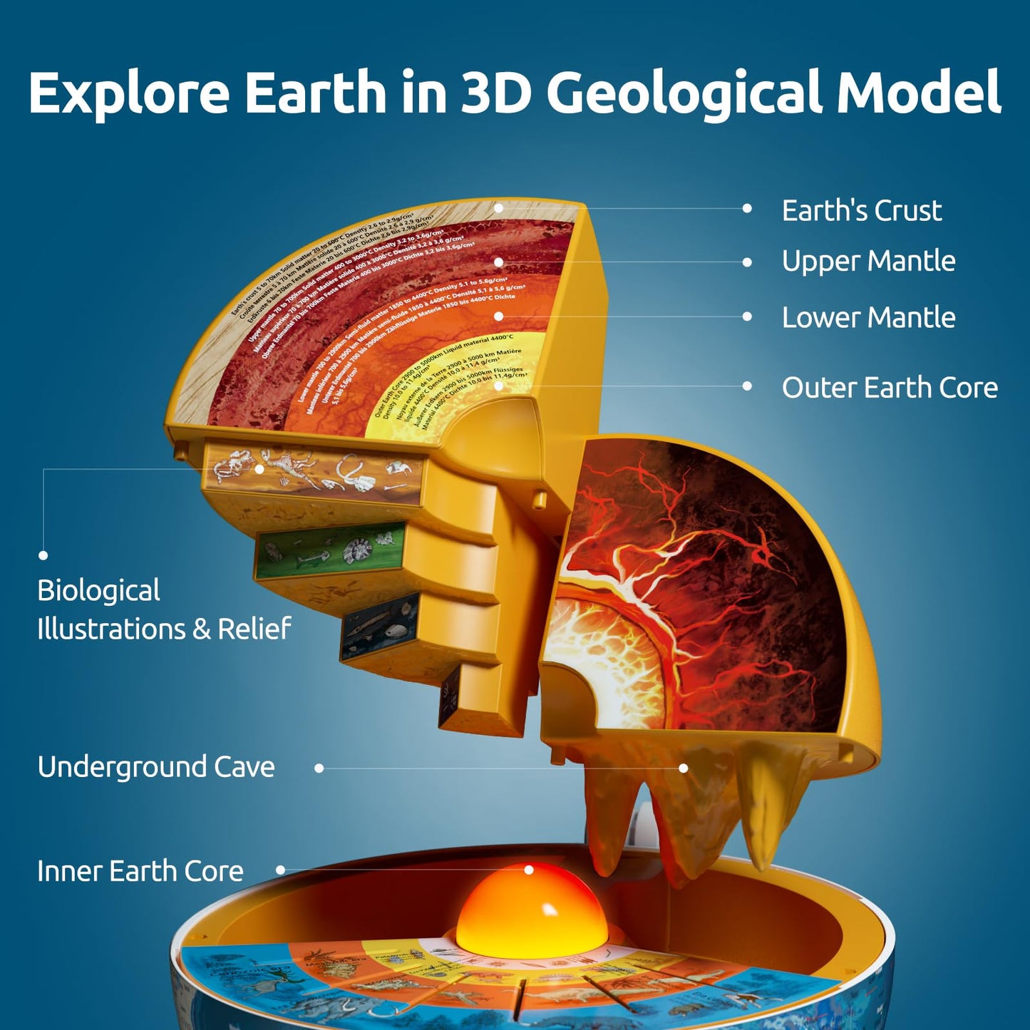 Science Can- Openable Globe for Kids, 8 Inch Interactive World Globe, Talking Model with Knowledge & Quiz Mode, Bilingual