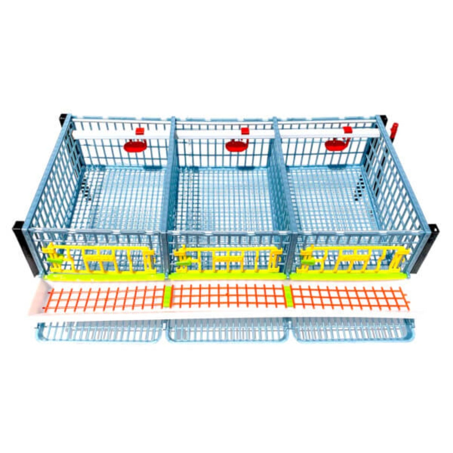 Quail Pen-   Size: 3 Section, Additional 2 Layer