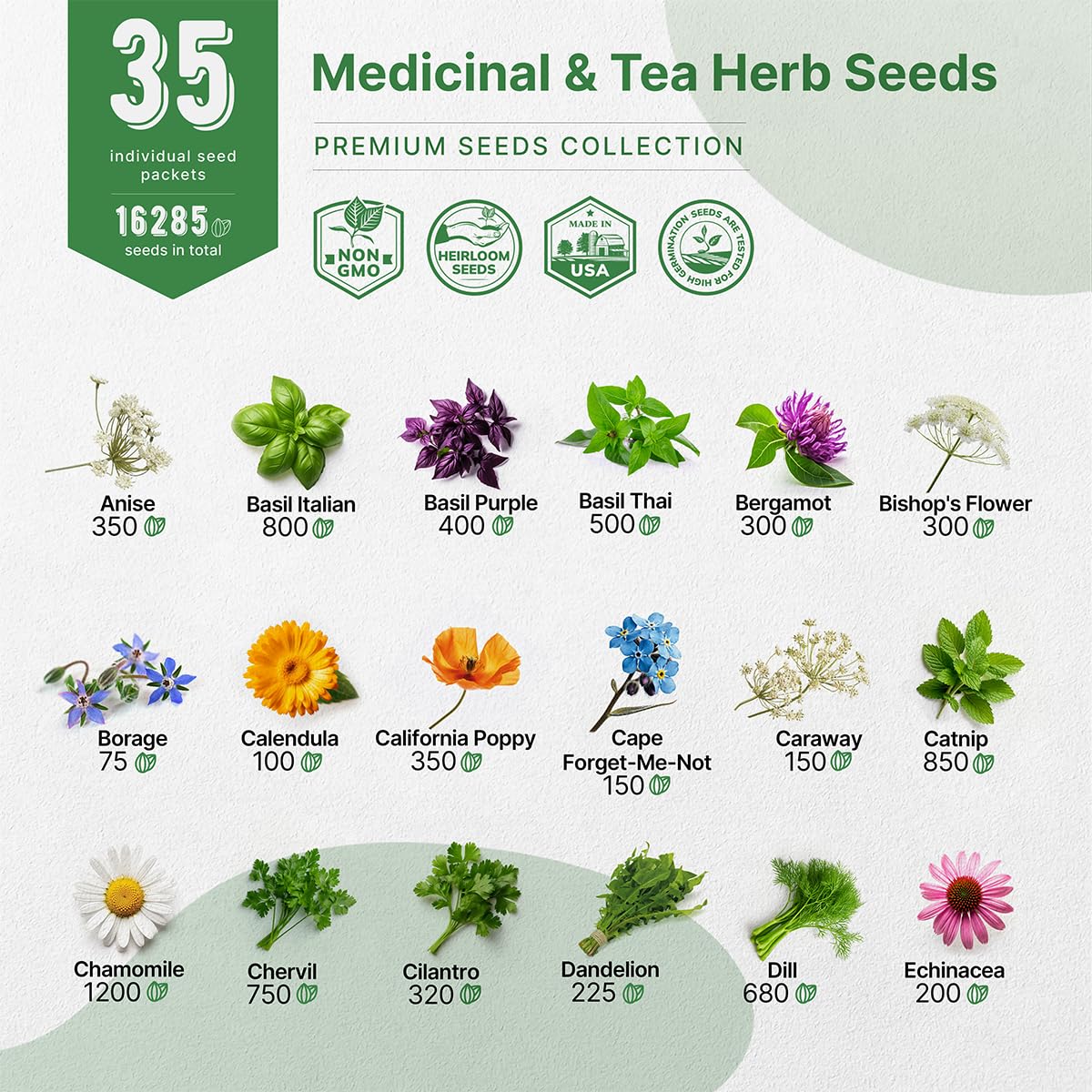 35 Herb Seeds Variety Pack for Indoor & Outdoors, Non-GMO Heirloom Garden Seeds