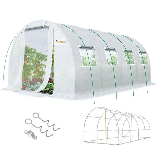 Premium 20x10x6.6FT Greenhouse for Outdoors, hoop, White