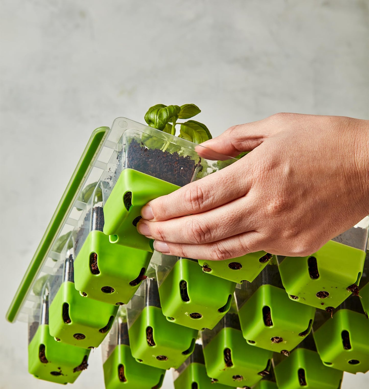 SuperSeed Seed Starting Tray