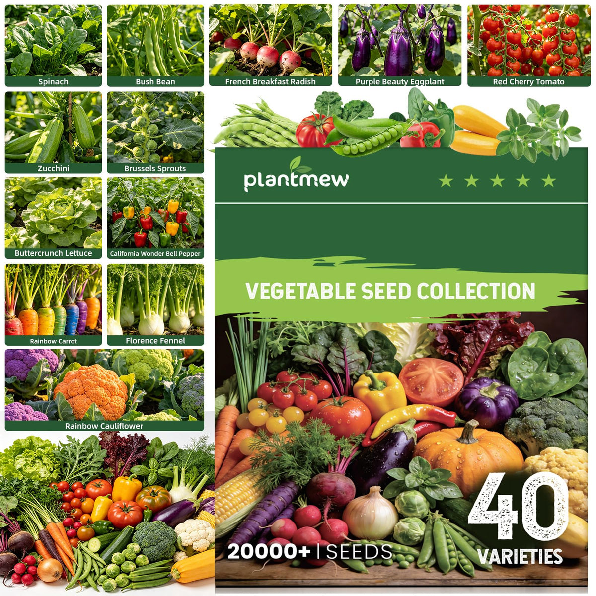 Fall Winter Vegetable Heirloom Seeds-20,000+ High Yield Garden Seeds