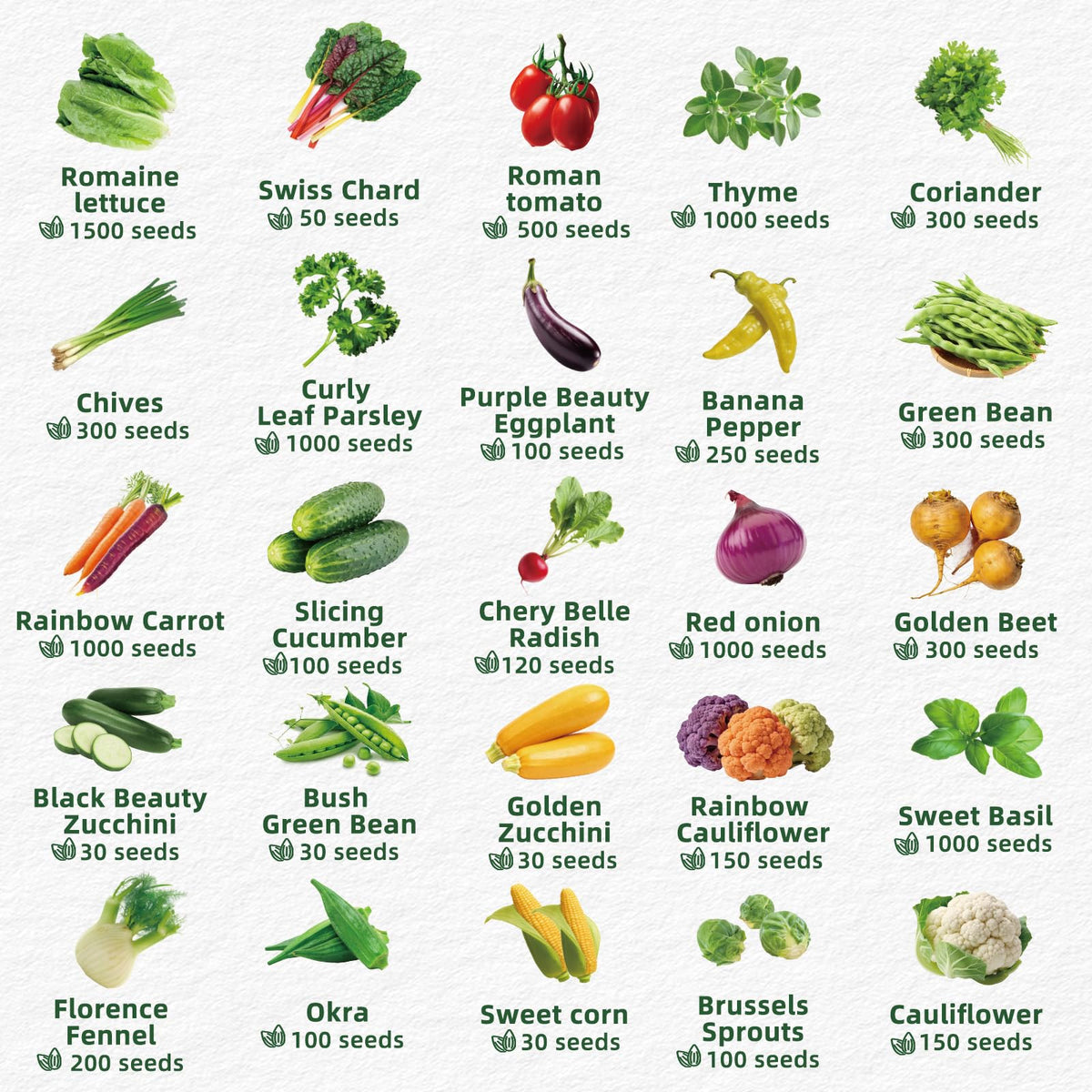 Fall Winter Vegetable Heirloom Seeds-20,000+ High Yield Garden Seeds